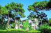   Simena Club HV-1 /   /